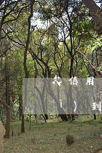欠信用卡上班族(欠信用卡的錢他們會(huì)到上班的公司來(lái)嘛)