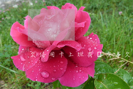 欠信用卡上班有沒有事（欠信用卡不敢去上班）