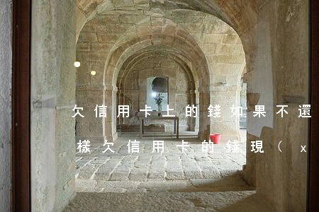 欠信用卡上的錢如果不還會(huì)怎么樣(欠信用卡的錢現(xiàn)在真的還不上怎么辦)