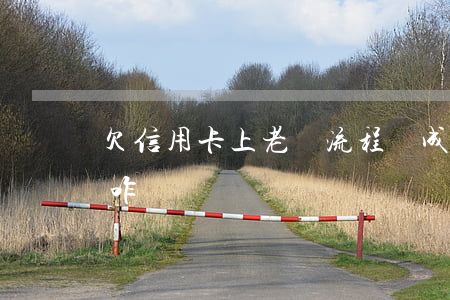 欠信用卡上老賴流程(變成老賴后信用卡欠款咋還)
