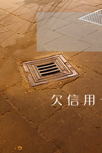 欠信用卡上訴能查到嗎(欠信用卡被告上法院)