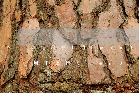 欠信用卡上門(mén)了以后怎么辦（欠信用卡 上門(mén)）