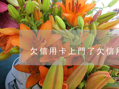 欠信用卡上門了(欠信用卡上門了以后怎么辦)