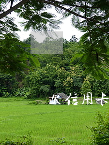 欠信用卡上門嗎(欠信用卡上門嗎會坐牢嗎)