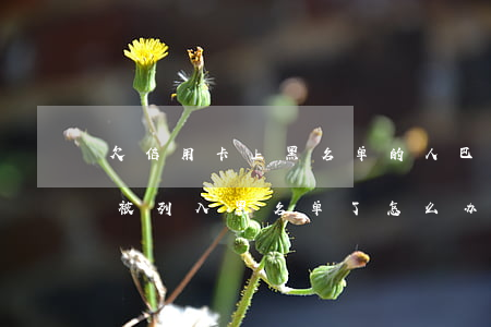 欠信用卡上黑名单的人巴盟临河-欠信用卡被列入黑名单了怎么办?
