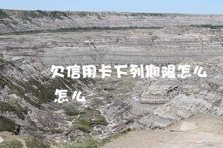 欠信用卡下列期限怎么處理(欠信用卡逾期了怎么辦)