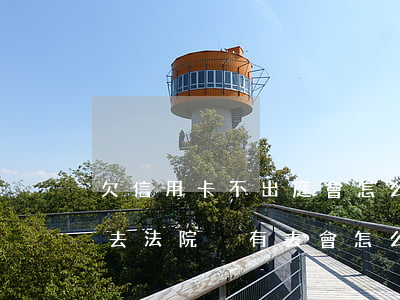 欠信用卡不出庭會怎么(因信用卡逾期未還叫去法院沒有去會怎么樣)
