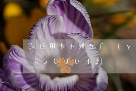 欠信用卡不到五千嚴(yán)重嗎（欠信用卡5000不到）