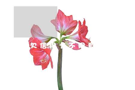 欠信用卡不同意協(xié)商