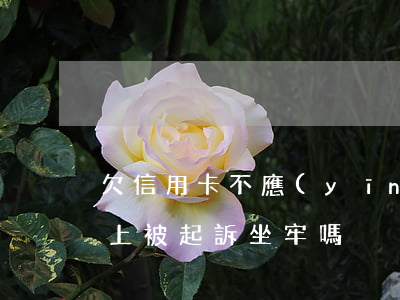 欠信用卡不應(yīng)訴(欠信用卡還不上被起訴坐牢嗎)