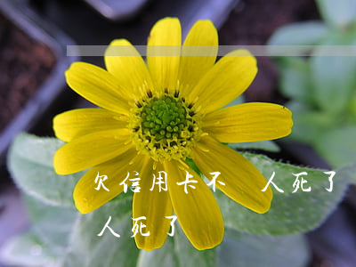 欠信用卡不換人死了還要還嗎（欠信用卡不換人死了）