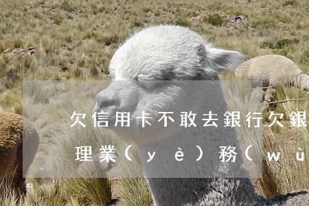 欠信用卡不敢去銀行(欠銀行信用卡去銀行辦理業(yè)務(wù)可以嗎)