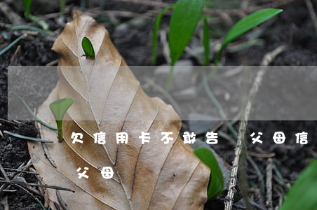 欠信用卡不敢告訴父母（信用卡逾期了怎么跟父母說）