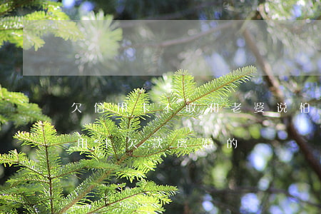 欠信用卡不敢和老婆说怕离婚(有没有因为信用卡欠款离婚的)