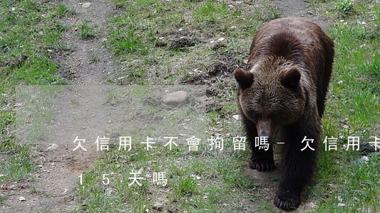 欠信用卡不會拘留嗎-欠信用卡錢會被拘留15天嗎