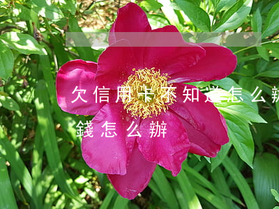 欠信用卡不知道怎么辦(不知道信用卡欠多少錢怎么辦)