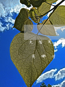 欠信用卡不能做的事(欠信用卡不能做的事情有哪些)