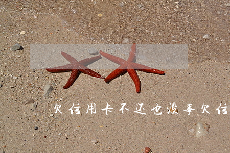 欠信用卡不还也没事(欠信用卡不还也没事)