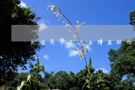 欠信用卡不还会蹲监狱吗(欠信用卡不还要坐牢吗)
