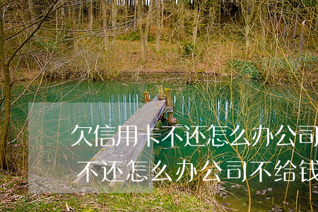 欠信用卡不还怎么办公司不给钱-欠信用卡不还怎么办公司不给钱呢