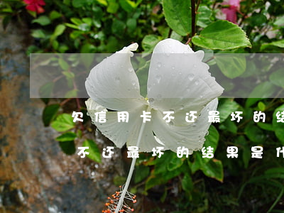 欠信用卡不还最坏的结果是什么-欠信用卡不还最坏的结果是什么呢