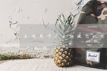 欠信用卡不还能做飞机吗(欠信用卡没还能坐飞机吗)
