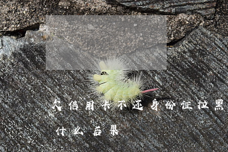 欠信用卡不还身份证拉黑(欠钱身份证拉黑有什么后果)