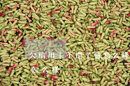 欠信用卡不還了會怎么樣(信用卡不還的話會怎么樣)