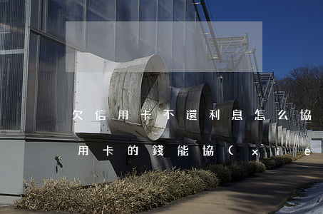 欠信用卡不還利息怎么協(xié)商(欠信用卡的錢能協(xié)商慢慢還不)