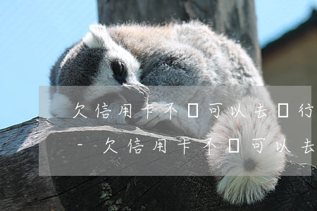 欠信用卡不還可以去銀行協(xié)商嗎-欠信用卡不還可以去銀行協(xié)商嗎