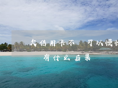 欠信用卡不還可以慢慢還嗎(欠信用卡一直不還有什么后果)