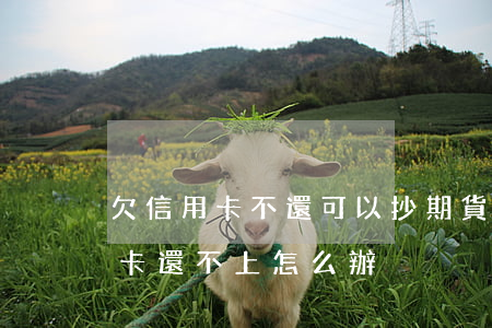 欠信用卡不還可以抄期貨嗎(炒期貨虧了信用卡還不上怎么辦?)