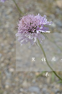 欠信用卡不還多久會被通緝(欠信用卡三年了會不會被通緝)