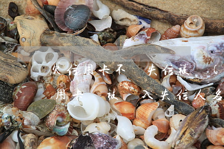 欠信用卡不還失信被執(zhí)行人(欠信用卡會被納入失信人名單嗎)