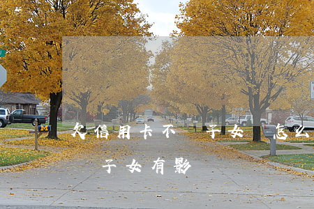 欠信用卡不還子女會怎么樣(欠信用卡還不上對子女有影響嗎)