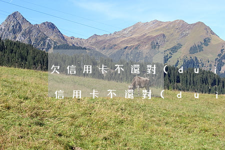 欠信用卡不還對(duì)家屬有影響嗎(欠信用卡不還對(duì)子女有影響嗎)
