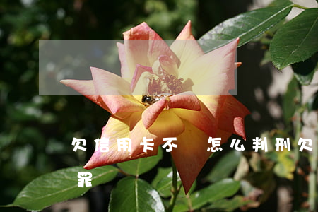 欠信用卡不還怎么判刑(欠信用卡不還是什么罪)