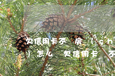 欠信用卡不還房產(chǎn)會(huì)怎么樣(欠信用卡還不上會(huì)被賣房嗎)