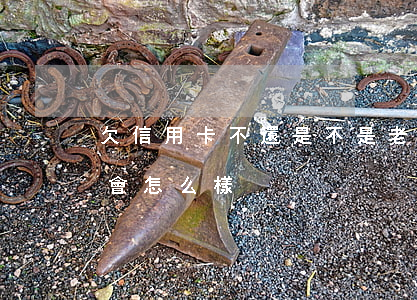 欠信用卡不還是不是老懶(欠銀行信用卡不還會怎么樣)