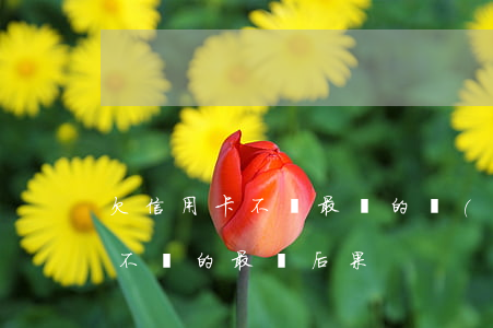欠信用卡不還最壞的結(jié)果(信用卡不還的最壞后果)