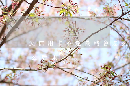 欠信用卡不還最終會怎么樣(欠信用卡不還什么后果)