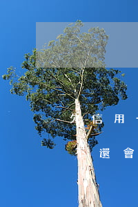 欠信用卡不還會(huì)坐牢嗎(欠信用卡不還會(huì)坐牢嗎)