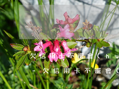 欠信用卡不還會(huì)打電話給家里不-欠信用卡不還會(huì)打電話給家里不還嗎