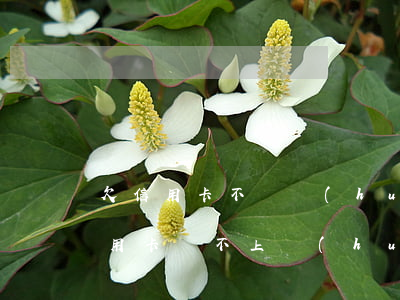 欠信用卡不還會(huì)連累家人嗎(欠信用卡還不上會(huì)連累家人嗎)