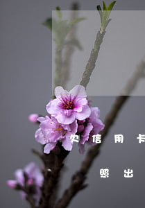 欠信用卡不還會出國簽證嗎(欠信用卡可以辦護照出國嗎)