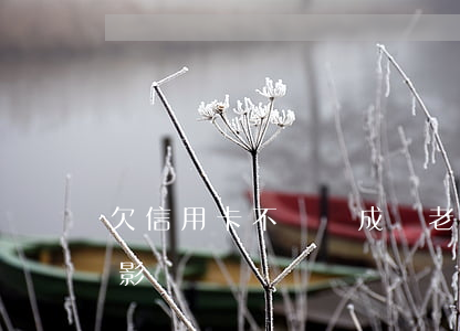 欠信用卡不還會成為老賴嗎(老賴對信用卡有影響嗎)
