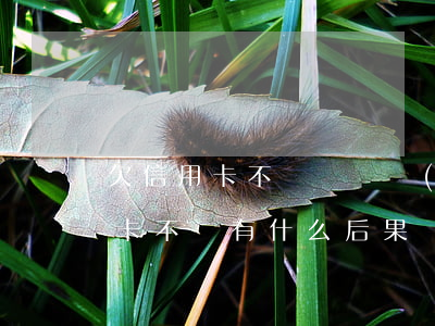 欠信用卡不還會進監(jiān)獄嗎(信用卡不還有什么后果會坐牢)