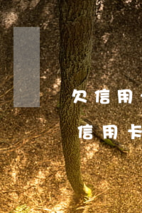 欠信用卡不還永遠(yuǎn)是黑戶嗎(欠信用卡錢還完還算黑戶嗎)