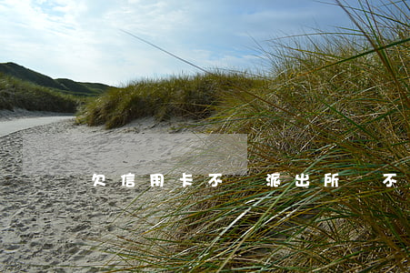 欠信用卡不還派出所會不會捉人-