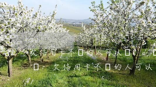 欠信用卡不還的人可以當(dāng)村官嗎-欠信用卡不還的人可以當(dāng)村官嗎知乎